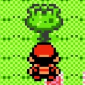 Berry tree and trainer